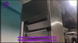 2284 J122 آلة تعبئة وتغليف الزلابية المجمدة بختم خلفي وأكياس لف عمودية