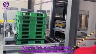 2307 P42 خط إنتاج منصات التحميل العملاقة للتعبئة الكرتونية