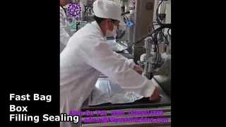 2108 L14 آلة تعبئة وختم الأكياس في الصندوق شبه الأوتوماتيكية ذات الرأس الواحد